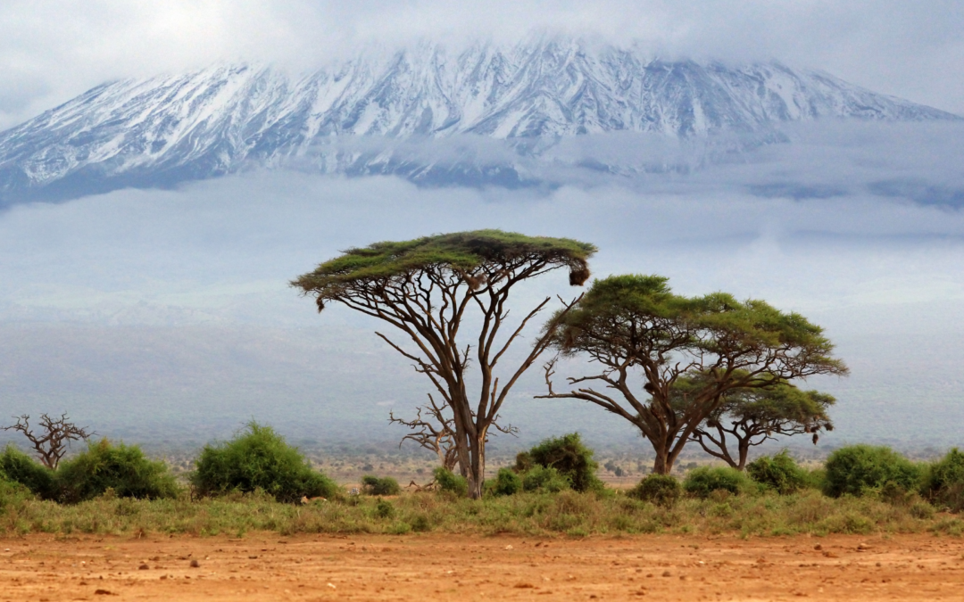 Climbing Kilimanjaro? Here’s Why You Should Be Doing Simulated Altitude Training