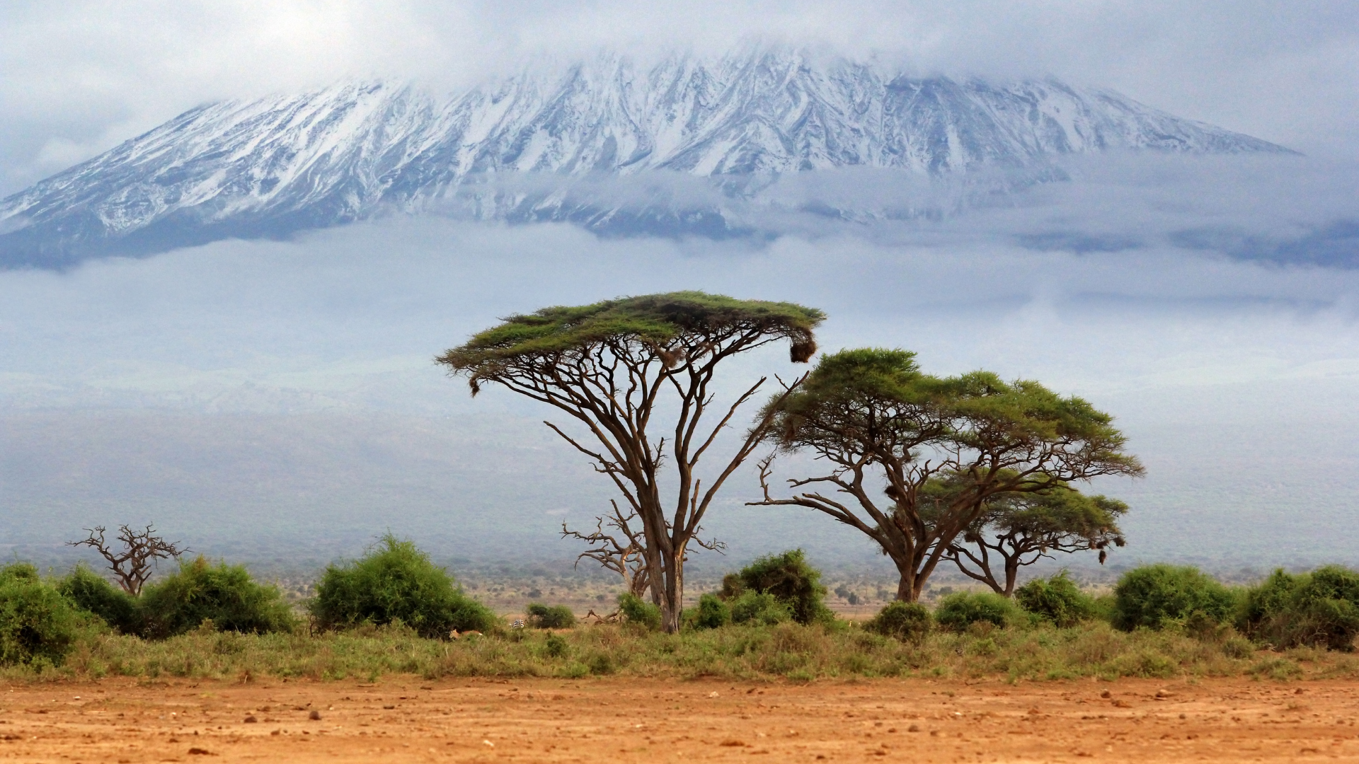 Tanzania is the latest bucket list destination for ultramarathon athletes –  running up Mount Kilimanjaro included