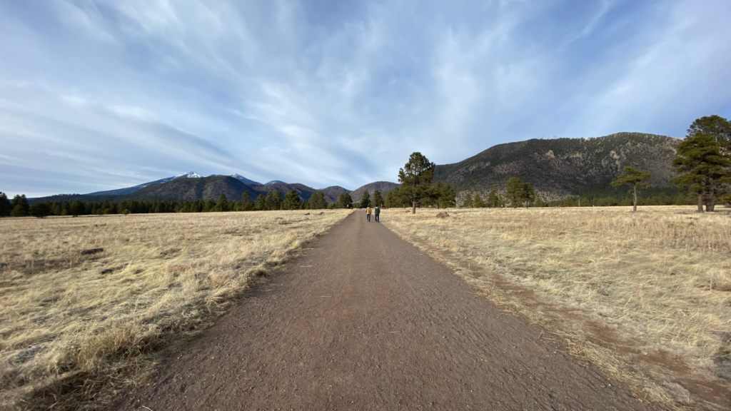 High Altitude Training Camps How much do they cost?