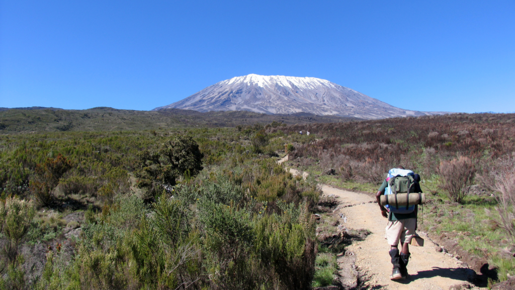 climb Mount Kilimanjaro
