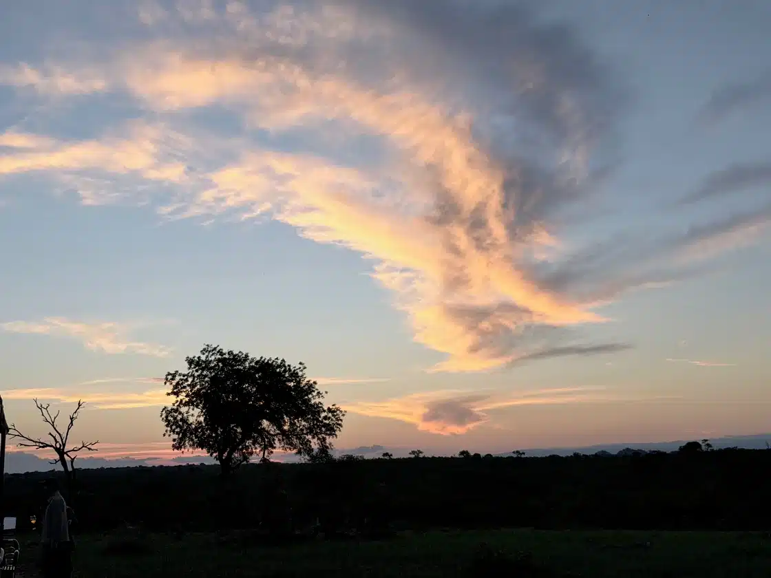 Stephen Woodward Nov26_2