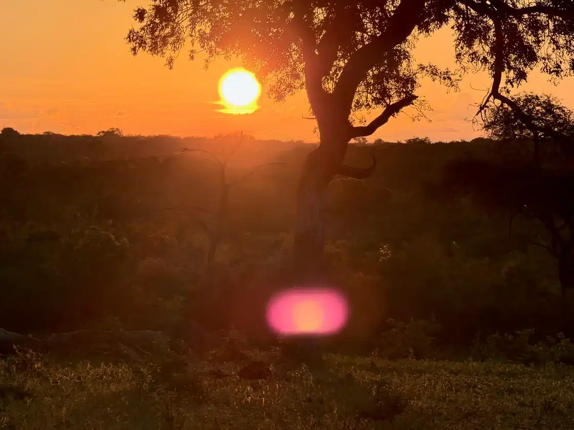 Stephen Woodward Nov26_3